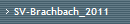 SV-Brachbach_2011